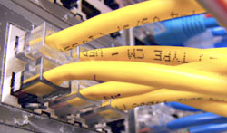 rj45 cat6 cat-6 netwerk intranet